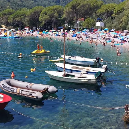 Apartman Medveja Medveja
