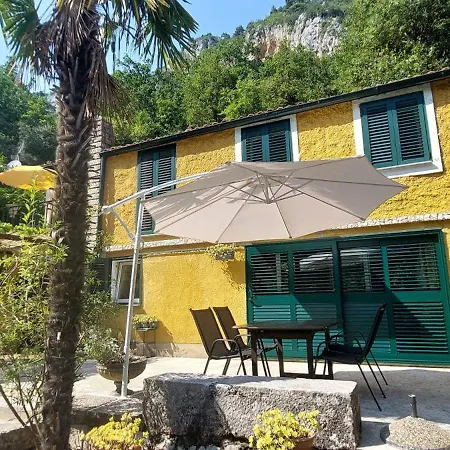 Apartment Medveja *