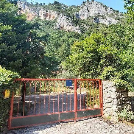 Medveja * Medveja