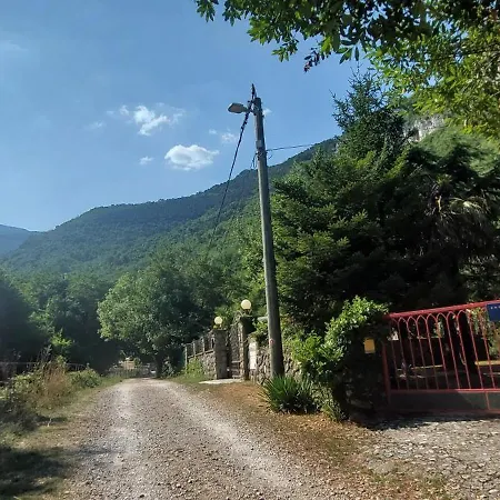 Medveja *